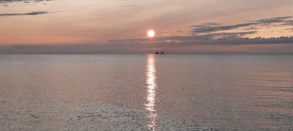 Sonnenauf- oder untergang? (06_20230822_063456.jpg)