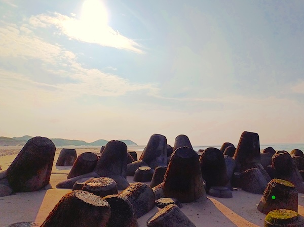 Sylt Impressionen
  (40_20240526_081314.jpg)